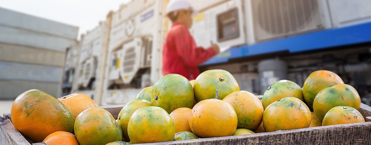 Contrôle de la qualité des fruits et légumes frais